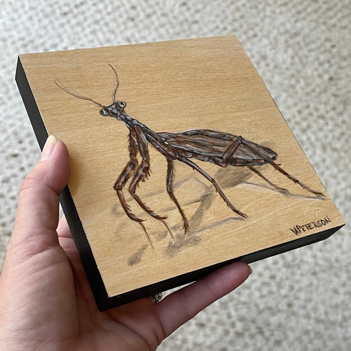 Carolina Mantis Original Oil Painting on Birch