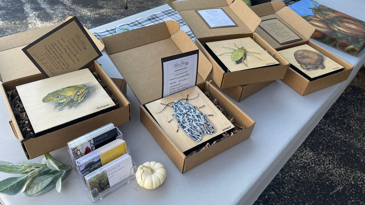 Summer Specimens