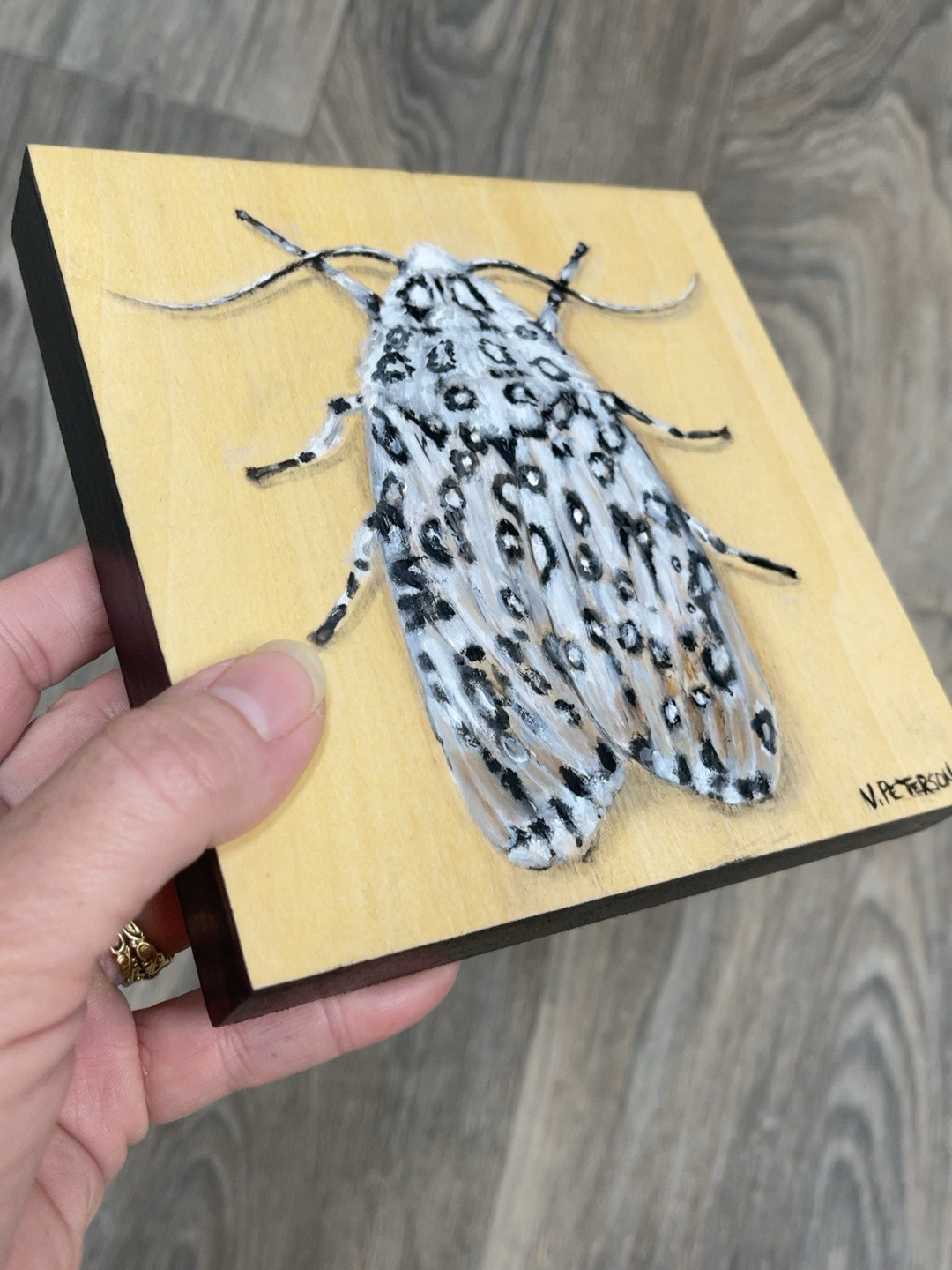 Leopard Moth Original Oil Painting on Birch