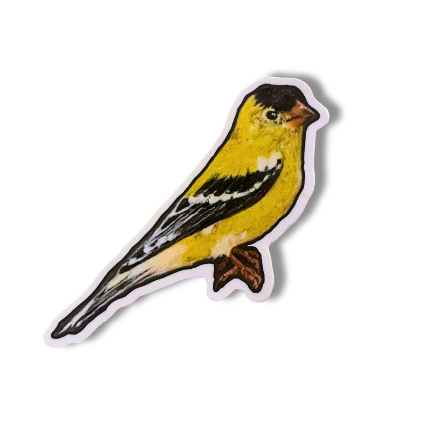 Vinyl American Goldfinch Sticker