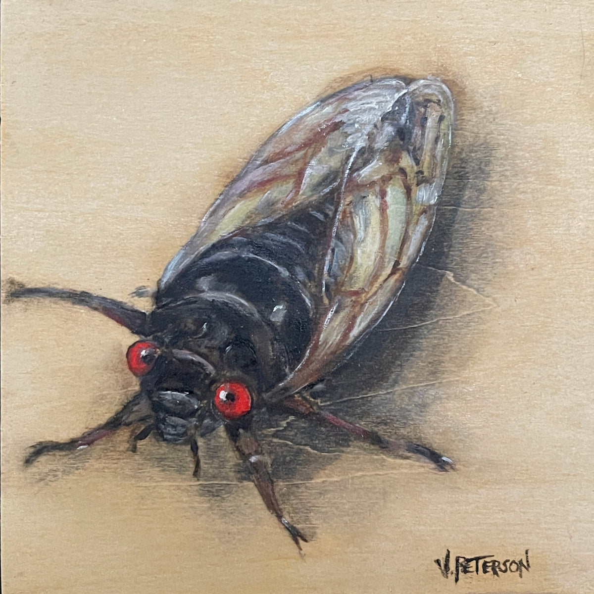 Cicada Original Oil Painting on Birch