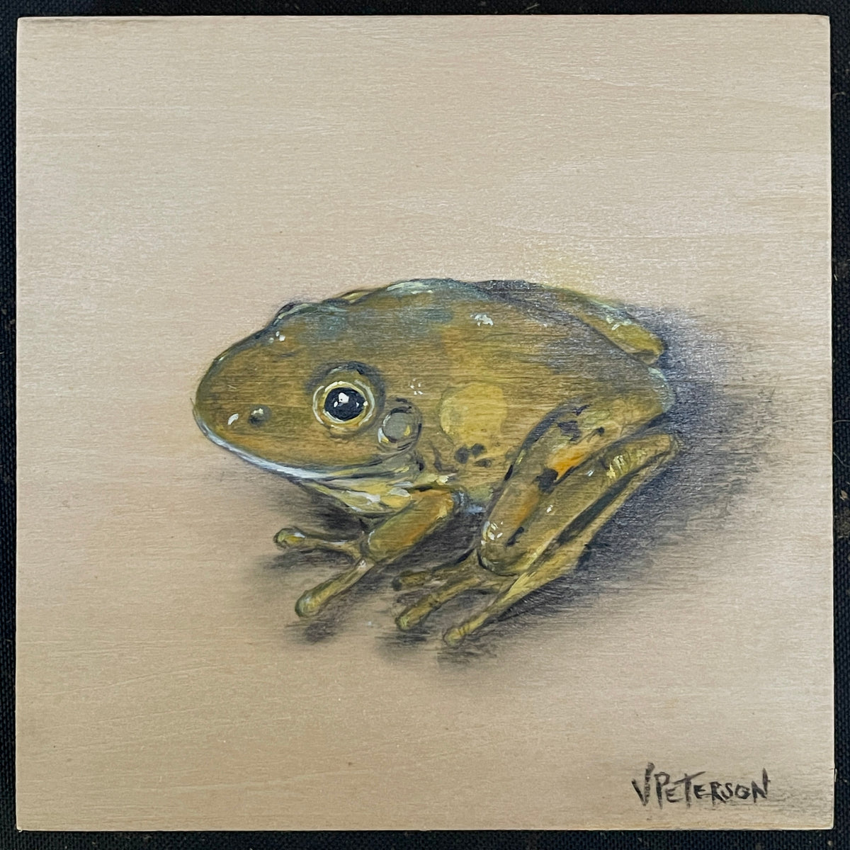 Juvenile Bullfrog Original Oil Painting on Birch