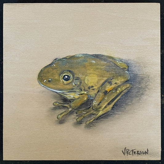 Juvenile Bullfrog Original Oil Painting on Birch