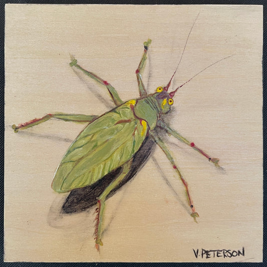 Katydid Original Oil Painting on Birch