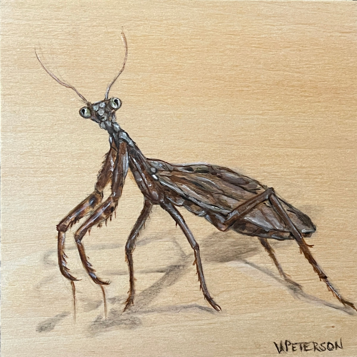 Carolina Mantis  Original Oil Painting on Birch