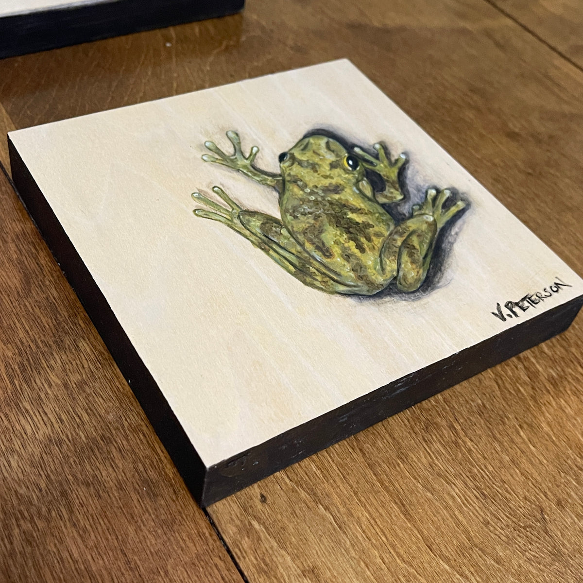 Cope's Tree Frog Original Oil Painting on Birch