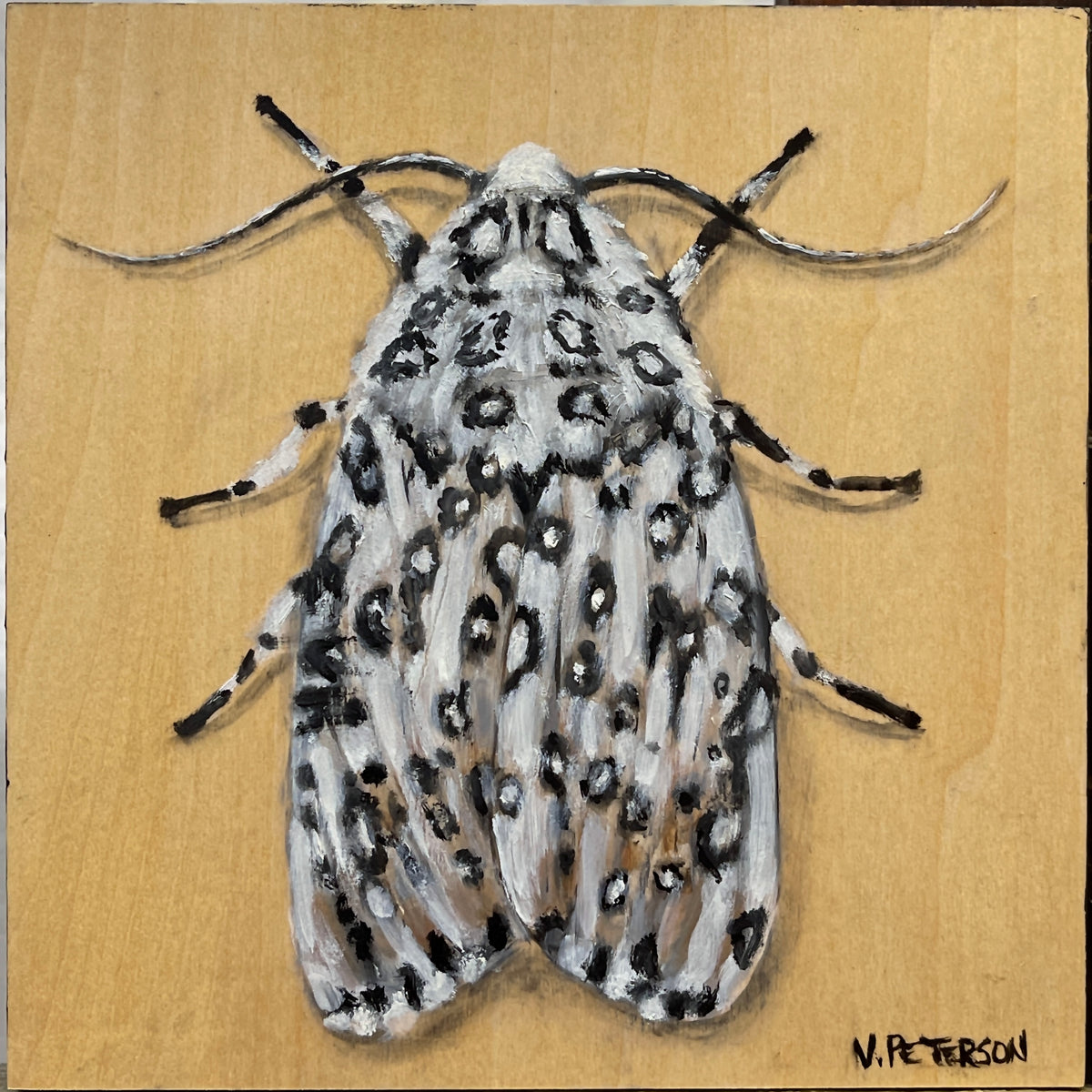 Leopard Moth Original Oil Painting on Birch