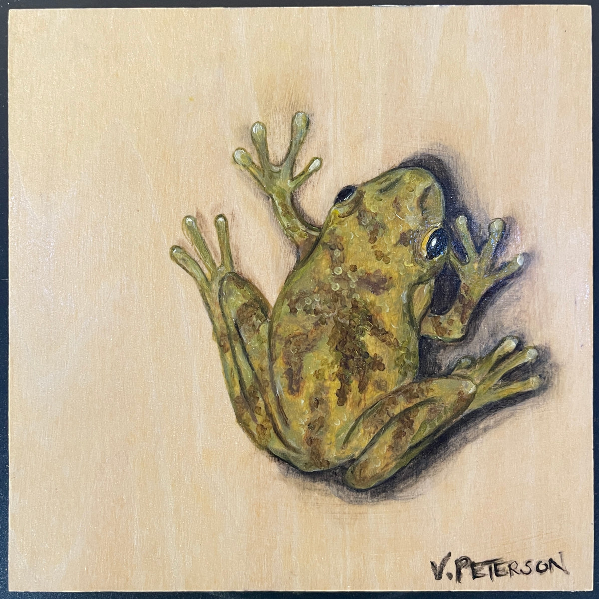 Cope's Tree Frog Original Oil Painting on Birch